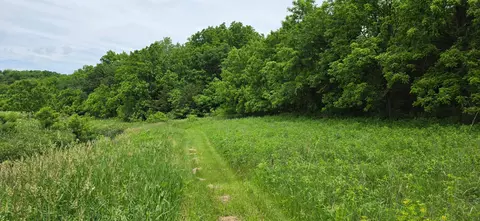 tbd Cardinal Ln, Mabel, MN 55954 photo 6
