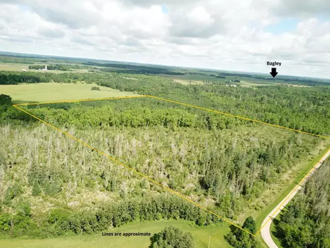 tbd 1 Mud Lake Rd, Bagley, MN 56621