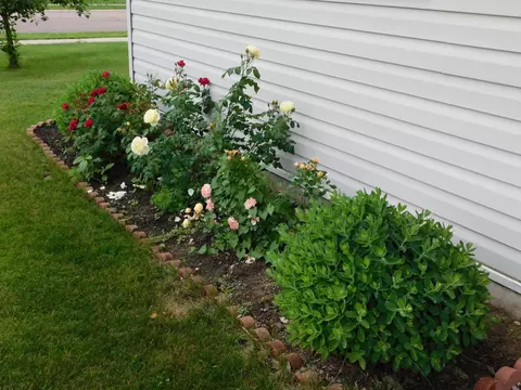 Exterior - 12340 44th Ave, Becker, MN 55308 photo 3 of 8