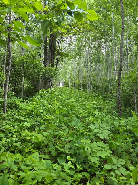 Nnn Mt Nelson Rd, Mahtowa, MN 55707