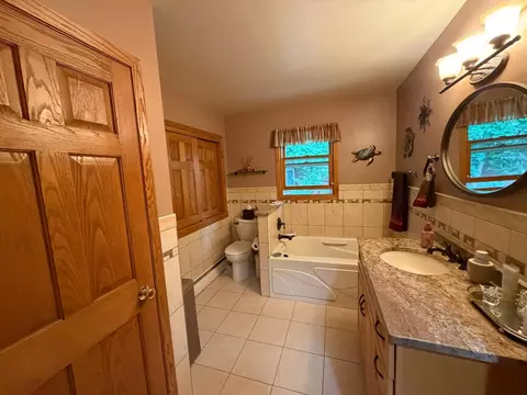 Bath - 424 S Haven St, Appleton, MN 56208 photo 1 of 1