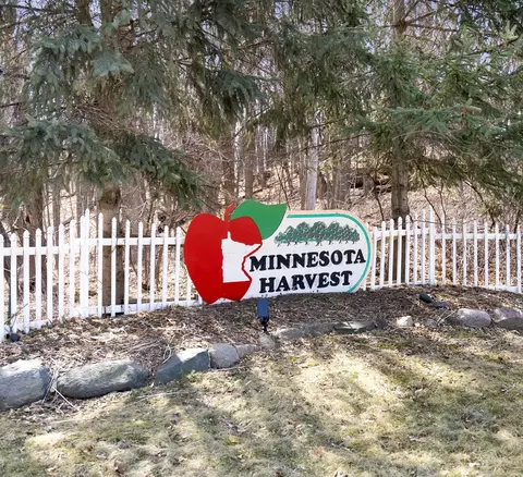 Other - 739 Prospect Pointe Rd, Jordan, MN 55352 photo 9 of 9