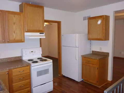 Kitchen - 101 Wilson St, Springfield, MN 56087 photo 3 of 4