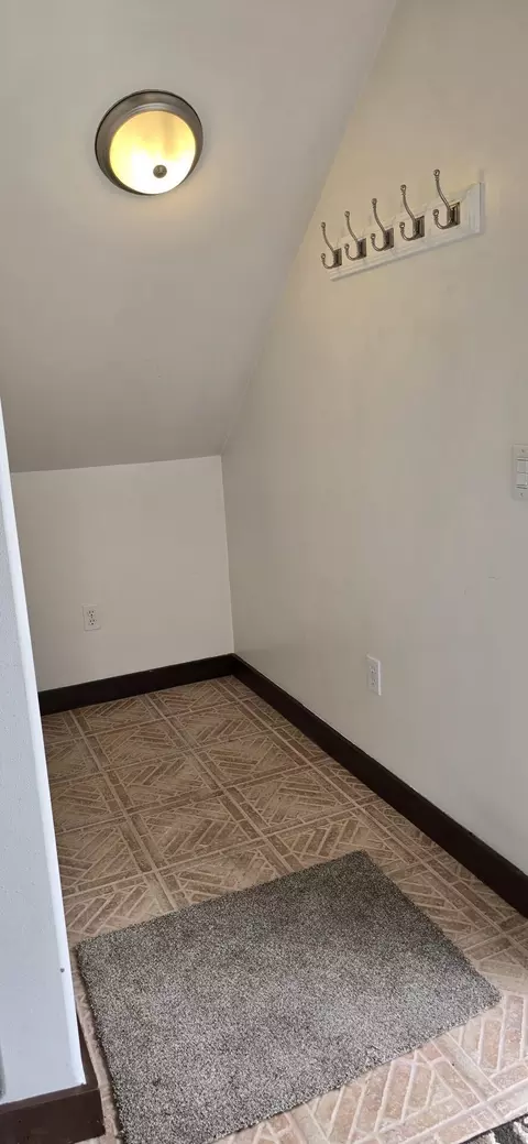 Other - 101 Wilson St, Springfield, MN 56087 photo 5 of 28