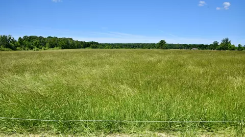 Other - 19367 150th Ave, Milaca, MN 56353 photo 45 of 52