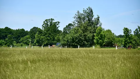 Other - 19367 150th Ave, Milaca, MN 56353 photo 50 of 52