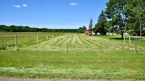 Exterior - 19367 150th Ave, Milaca, MN 56353 photo 17 of 24