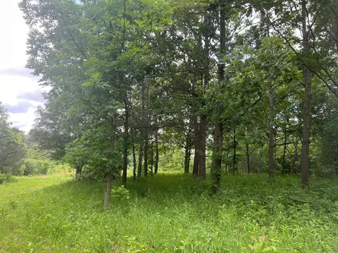 tbd 50th St W, Webster, MN 55088 photo 5