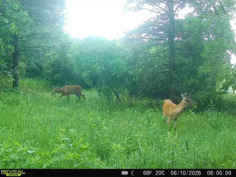 tbd 50th St W, Webster, MN 55088 photo 22