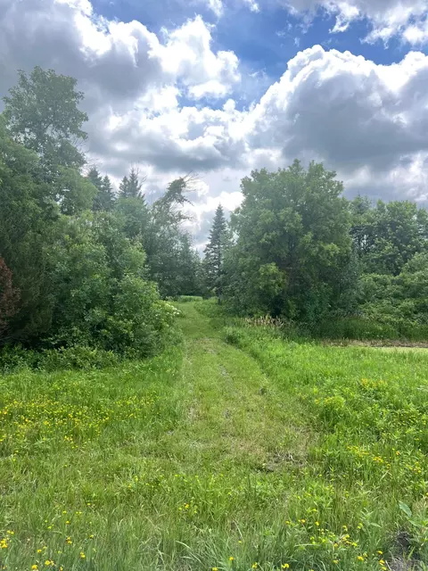 tbd 50th St W, Webster, MN 55088 photo 6