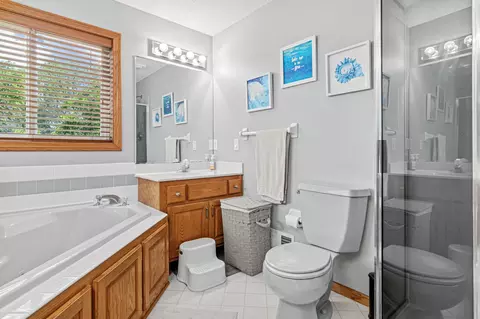 Bath - 9832 Rosemill Cir N, Champlin, MN 55316 photo 3 of 5