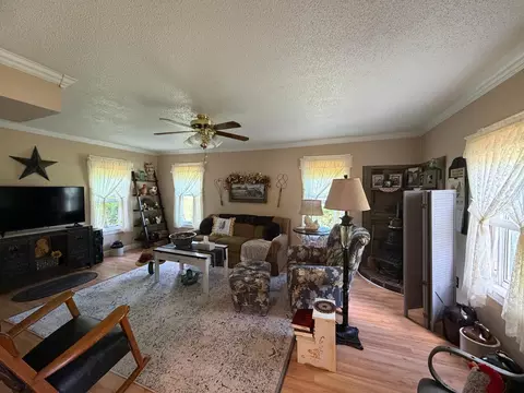 Living - 7541 Cedar St, Bruno, MN 55712 photo 2 of 2