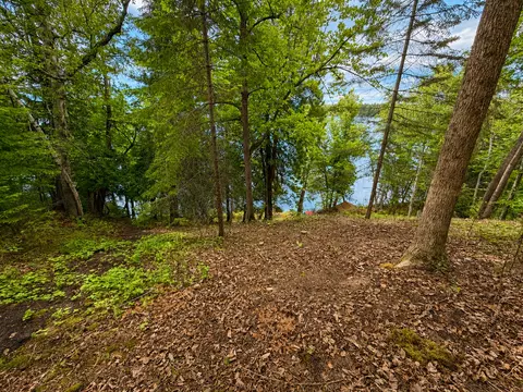 View/Area - 50573 Evergreenpoint Rd, Bigfork, MN 56628 photo 3 of 8