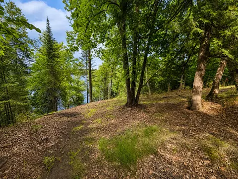 Exterior - 50573 Evergreenpoint Rd, Bigfork, MN 56628 photo 3 of 5