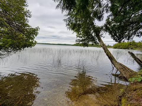 View/Area - 50573 Evergreenpoint Rd, Bigfork, MN 56628 photo 6 of 8