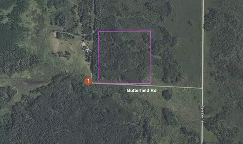 tbd Butterfield Rd, Hibbing, MN 55746
