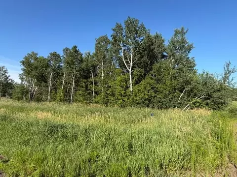 Other - 11617 70th Ave, Milaca, MN 56353 photo 6 of 13