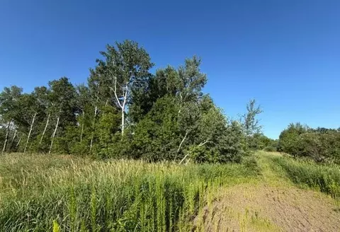 Other - 11617 70th Ave, Milaca, MN 56353 photo 8 of 13