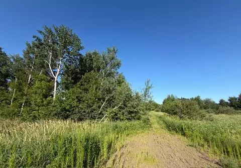 Other - 11617 70th Ave, Milaca, MN 56353 photo 9 of 13