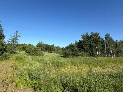 Other - 11617 70th Ave, Milaca, MN 56353 photo 5 of 13