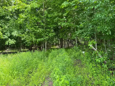 tbd Lindo Trl, Lindstrom, MN 55045 photo 41