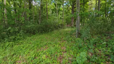 tbd Lindo Trl, Lindstrom, MN 55045 photo 28
