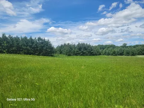 tbd 145th, Eagle Bend, MN 56446 photo 14
