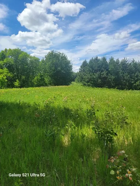 145 Th 145th, Eagle Bend, MN 56446 photo 7