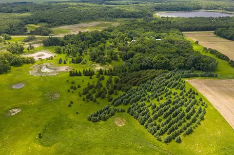 145 Th 145th, Eagle Bend, MN 56446 photo 4