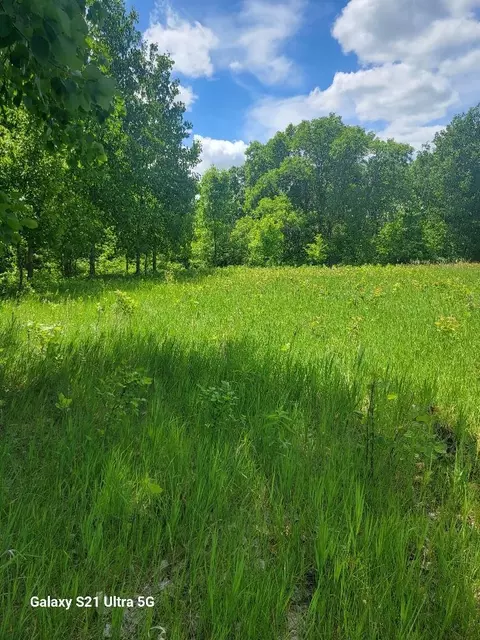 tbd 145th, Eagle Bend, MN 56446 photo 13