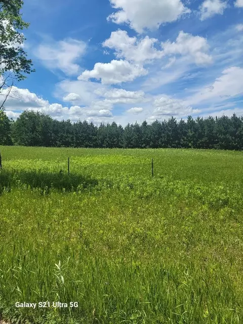 145 Th 145th, Eagle Bend, MN 56446 photo 1