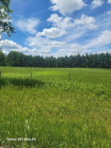 145 Th 145th, Eagle Bend, MN 56446