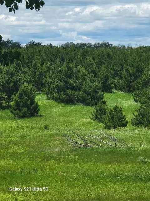 tbd 145th, Eagle Bend, MN 56446 photo 6