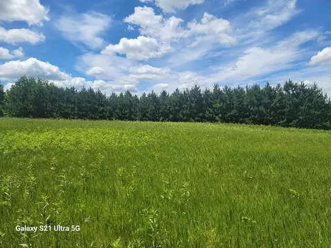 145 Th 145th, Eagle Bend, MN 56446 photo 8