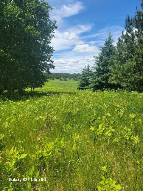 tbd 145th, Eagle Bend, MN 56446 photo 12