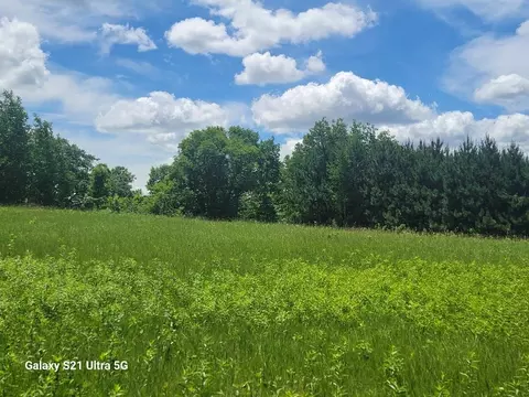 tbd 145th, Eagle Bend, MN 56446 photo 2