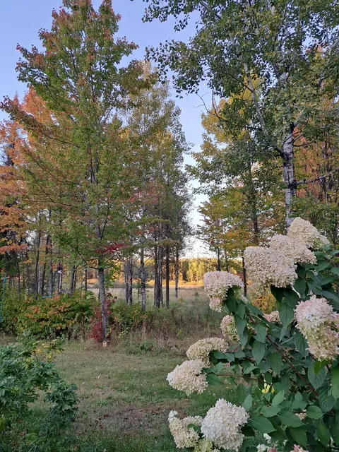 Exterior - 9374 Alango Rd, Angora, MN 55703 photo 16 of 16