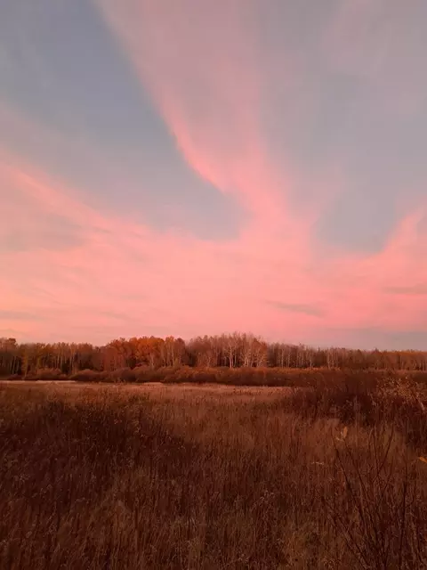 Other - 9374 Alango Rd, Angora, MN 55703 photo 21 of 25