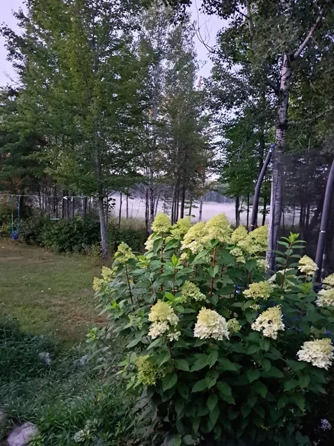 Exterior - 9374 Alango Rd, Angora, MN 55703 photo 15 of 16