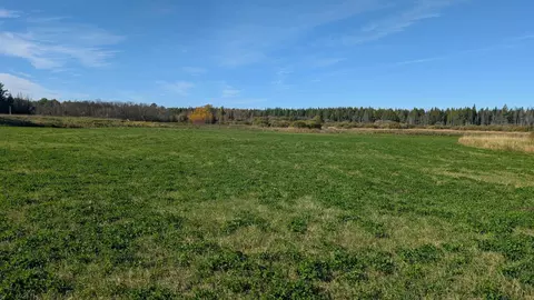 10211 Leander Rd, Angora, MN 55703