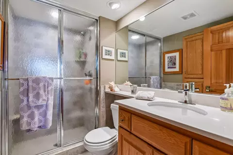 Bath - 4512 W Arm Rd, Spring Park, MN 55384 photo 8 of 8
