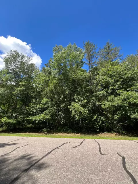 lot2 Birch Ln, Brainerd, MN 56401 photo 10