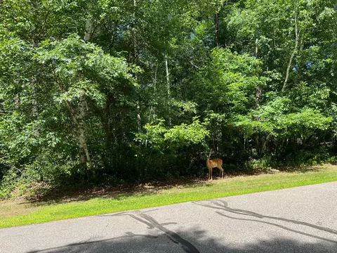 lot2 Birch Ln, Brainerd, MN 56401 photo 12