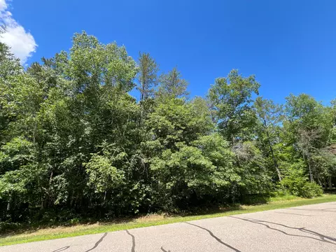 lot2 Birch Ln, Brainerd, MN 56401 photo 5