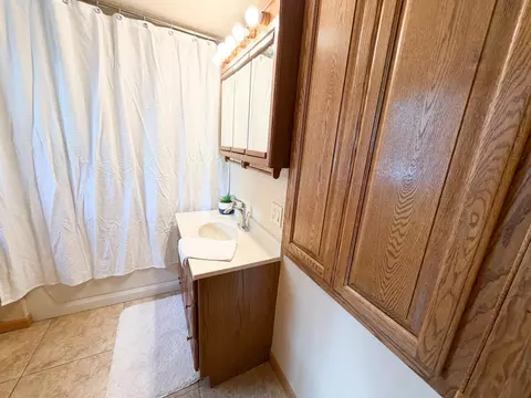 Bath - 19667 Mccall Ave, Reading, MN 56165 photo 1 of 2