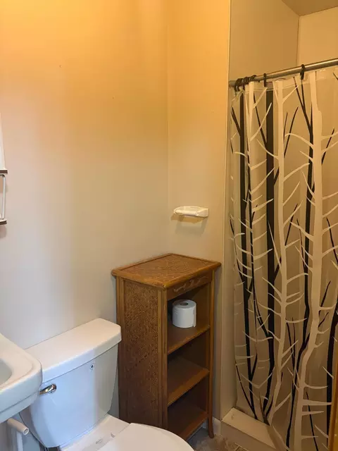 Bath - 419 2nd St NE, Faribault, MN 55021 photo 1 of 1