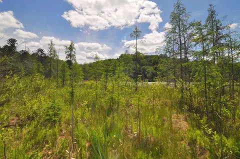 lot2 Evening Vista Trl NW, Shingobee Twp, MN 56433