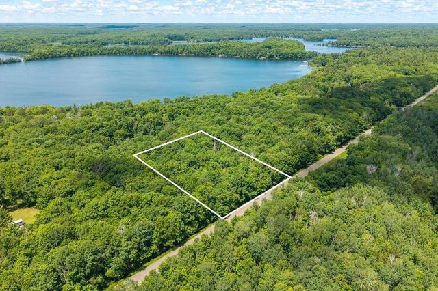 Tract B Maghan Road, Deerwood, MN 56444