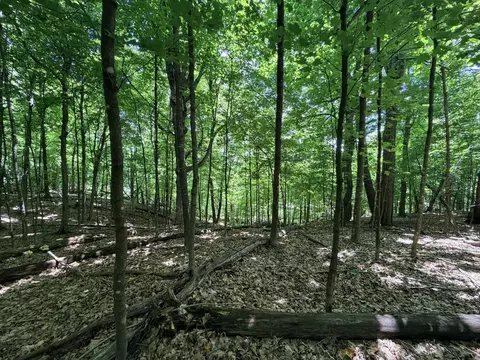 10897 N Ridge Ln, Avon, MN 56310 photo 6