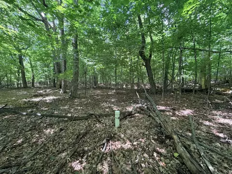 10897 N Ridge Ln, Avon, MN 56310 photo 3